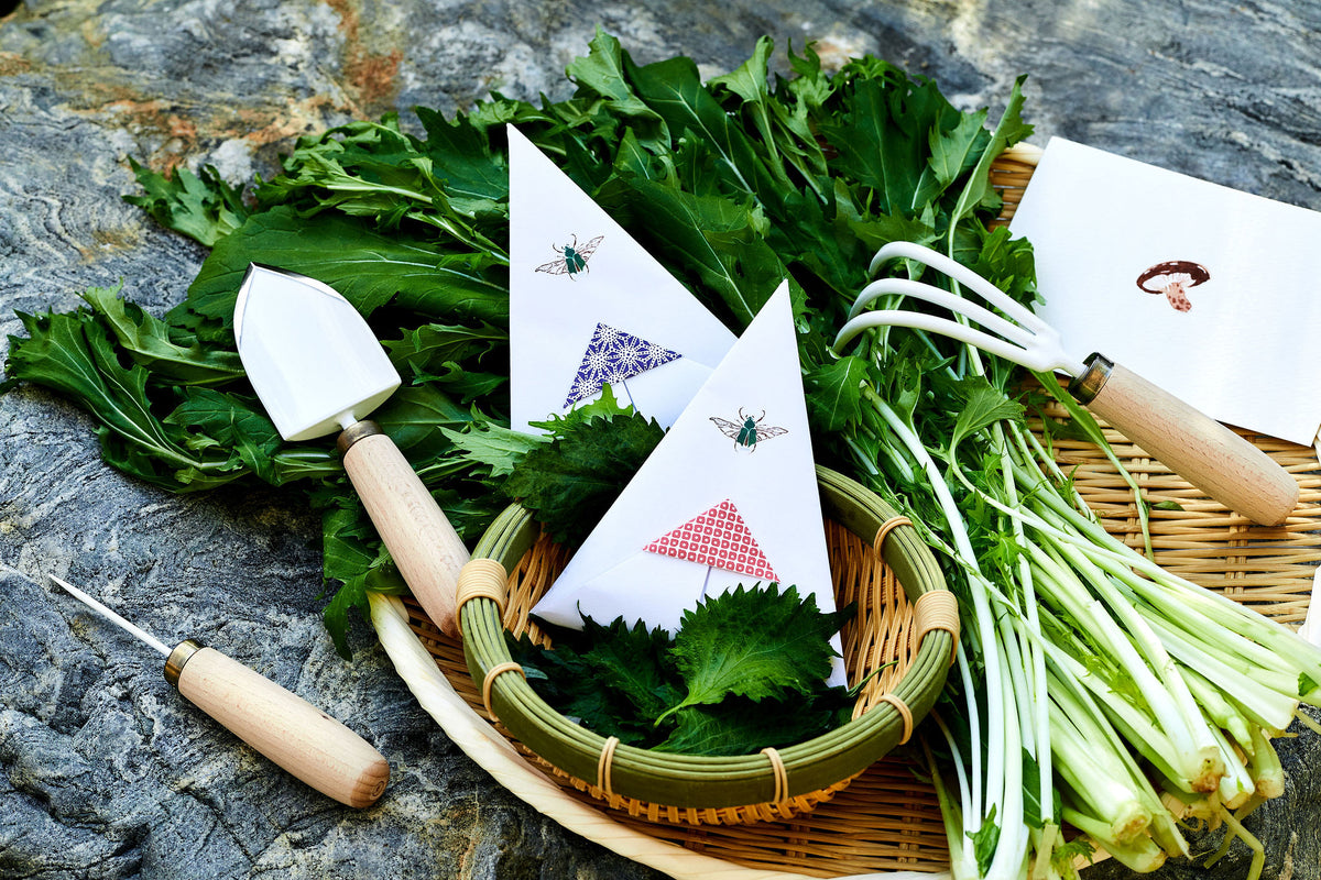 MISE 店 Japanese Home Gardening Bundle