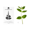 Tea Herb Seeds - Pack of 5