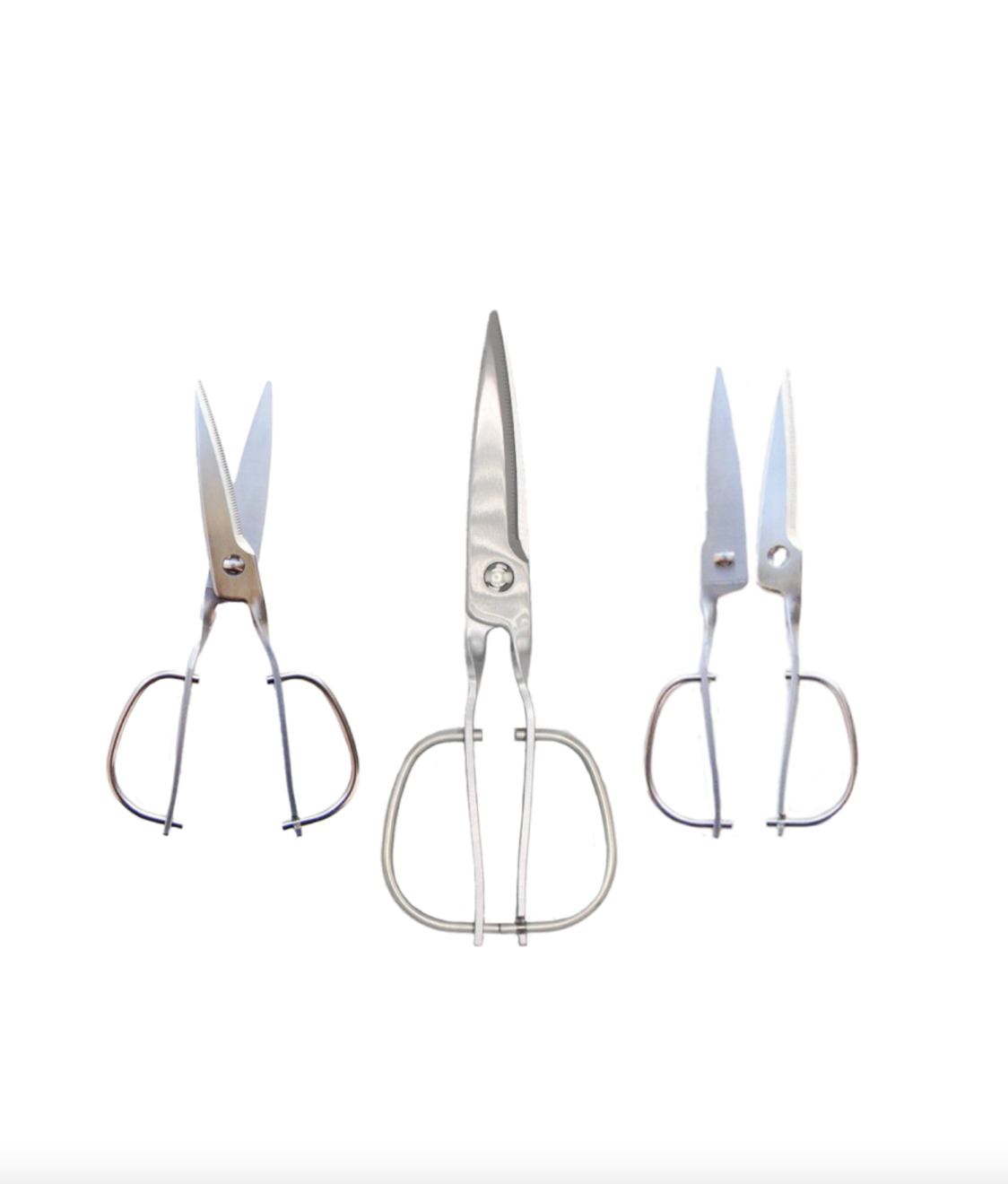 Toribe Kitchen Scissors