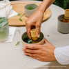 Matcha Whisk - Dark Bamboo